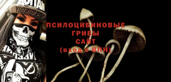 метадон Инта