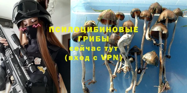 скорость Сафоново