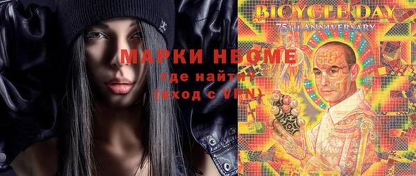 крисы Кулебаки