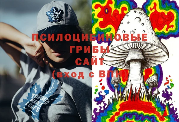 СК Зеленодольск