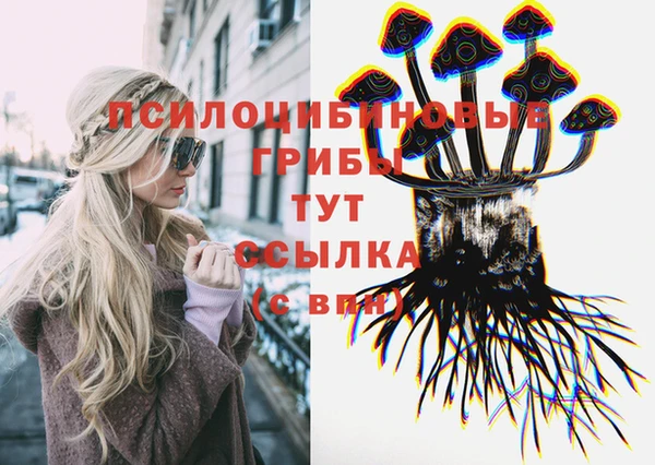 прущая мука Саяногорск