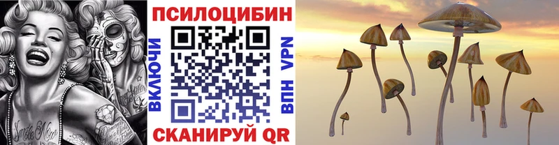 где найти наркотики  Советск  Псилоцибиновые грибы MAGIC MUSHROOMS 