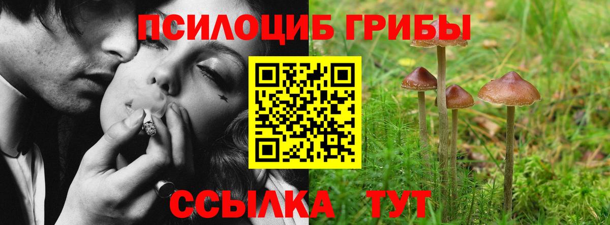 Советск  Галлюциногенные грибы Magic Shrooms  Вход с VPN 